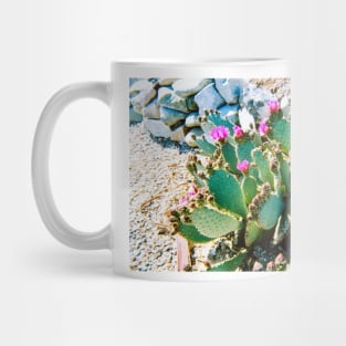 Arizona cactus color photograph Mug